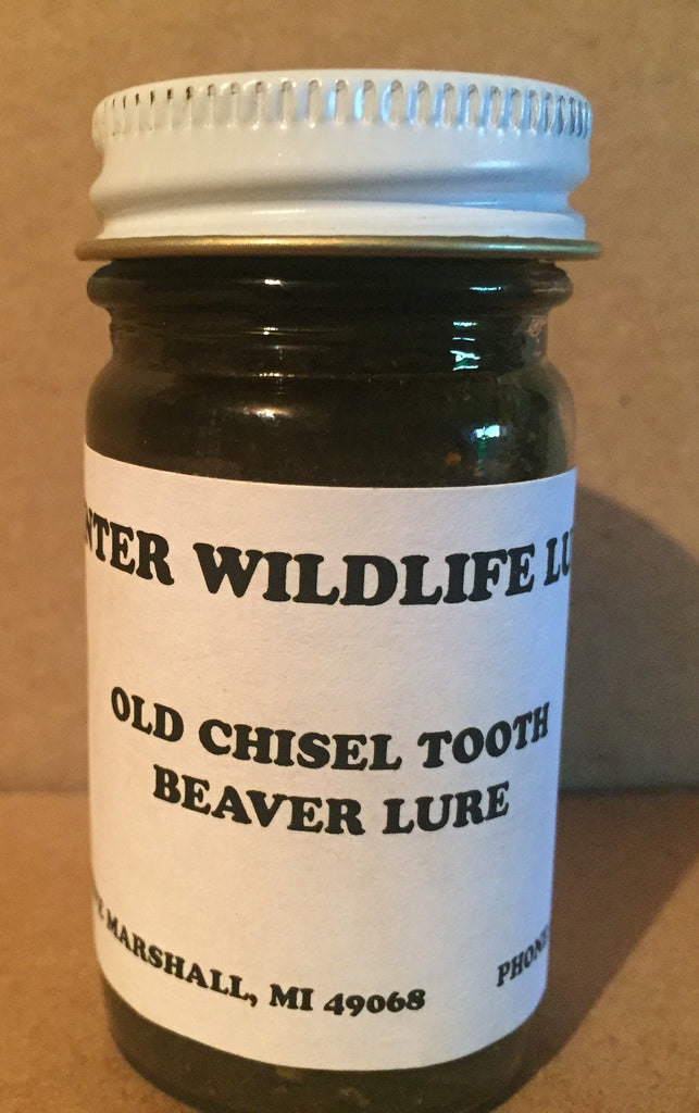 OLD CHISEL TOOTH - a beaver food lure – Winter Wildlife Control