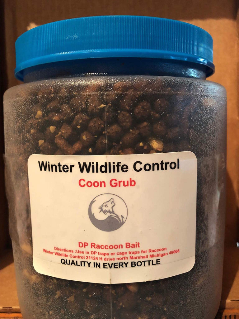COON GRUB for DPs TRAPS – Winter Wildlife Control Bait and Lure