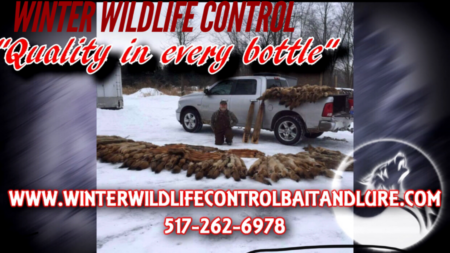 Winter Wildlife Control Bait and Lure 