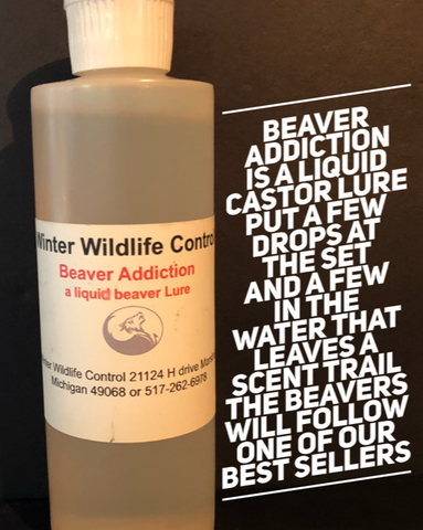 BEAVER ADDICTION - Liquid Beaver Castor Lure