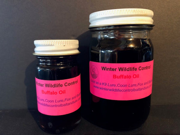 Buffalo oil - good for K9s and raccoon – Winter Wildlife Control Bait and  Lure