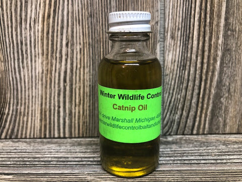 Catnip Oil - i distill my own catnip to make this product