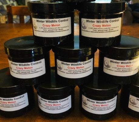 Crazy Melon Paste (Cantaloupe Bait